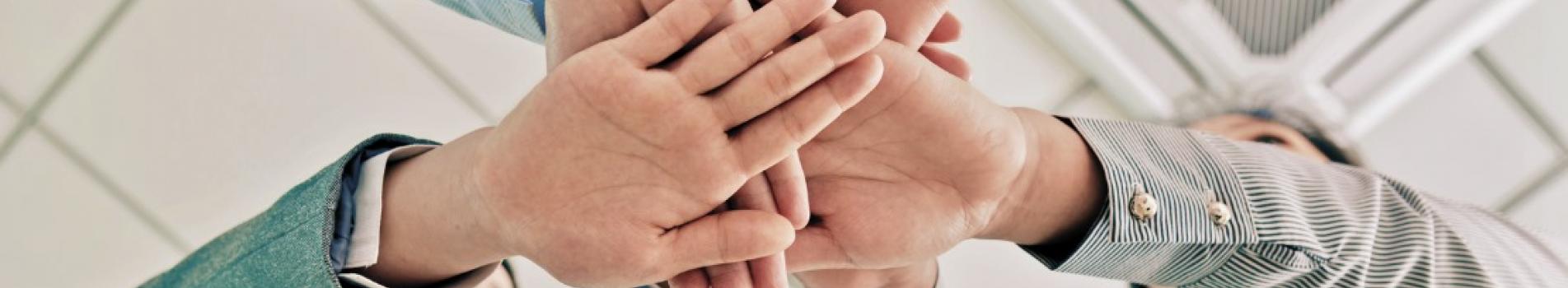 Capacitação Interna